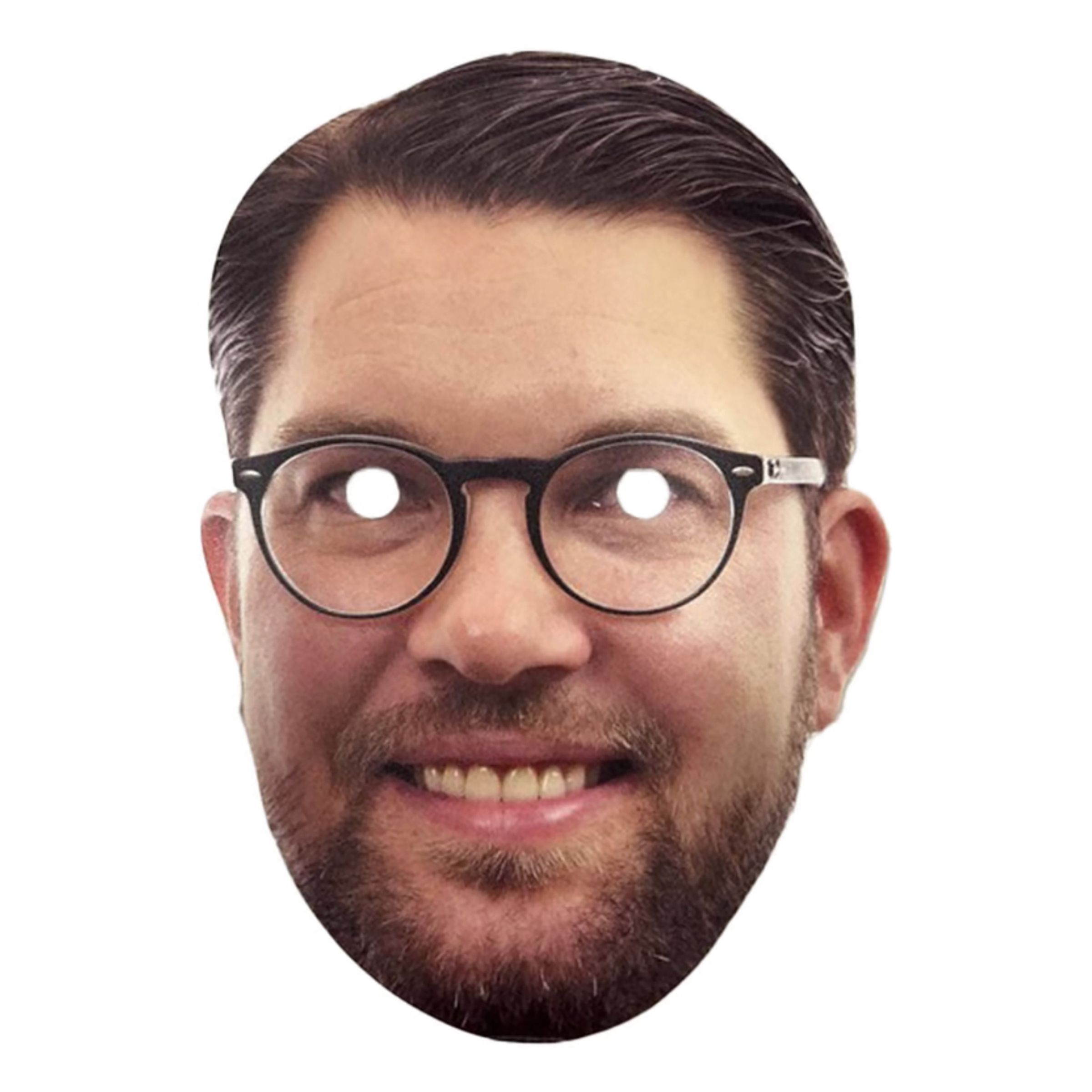 Jimmie Åkesson Pappmask - One size