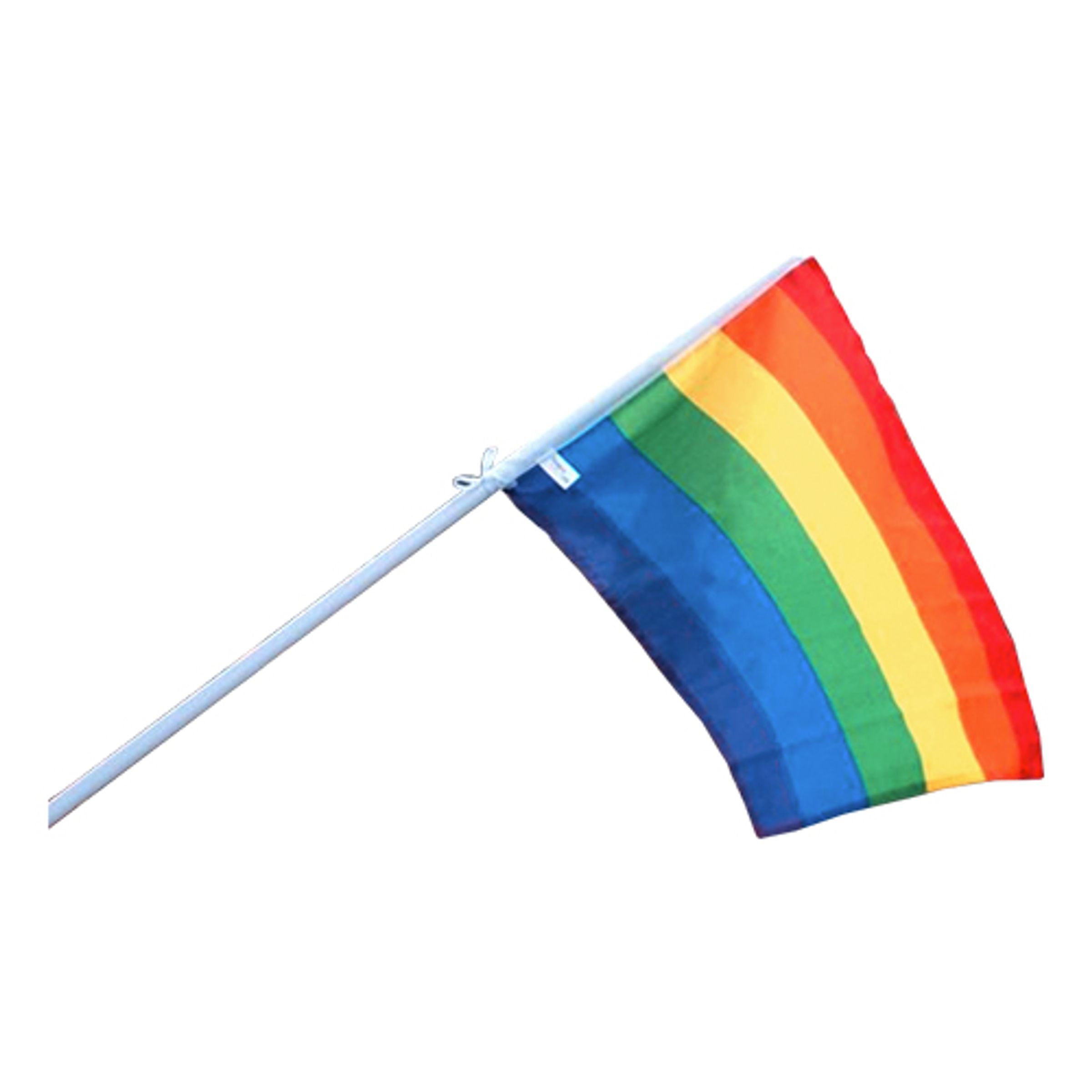 Läs mer om Pride Fasadflagga med Stång - Liten 40x60 cm