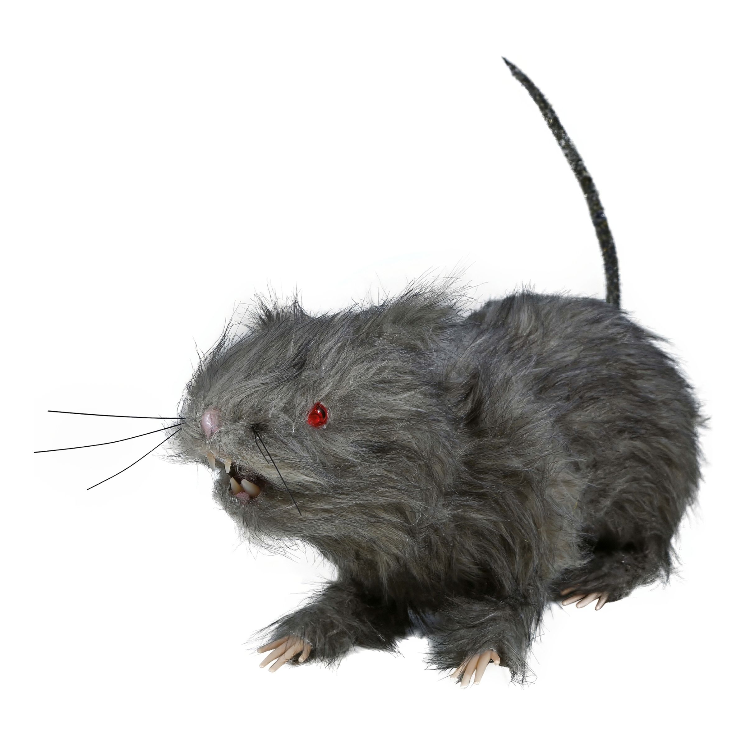 Läs mer om Råtta med Ljus Prop