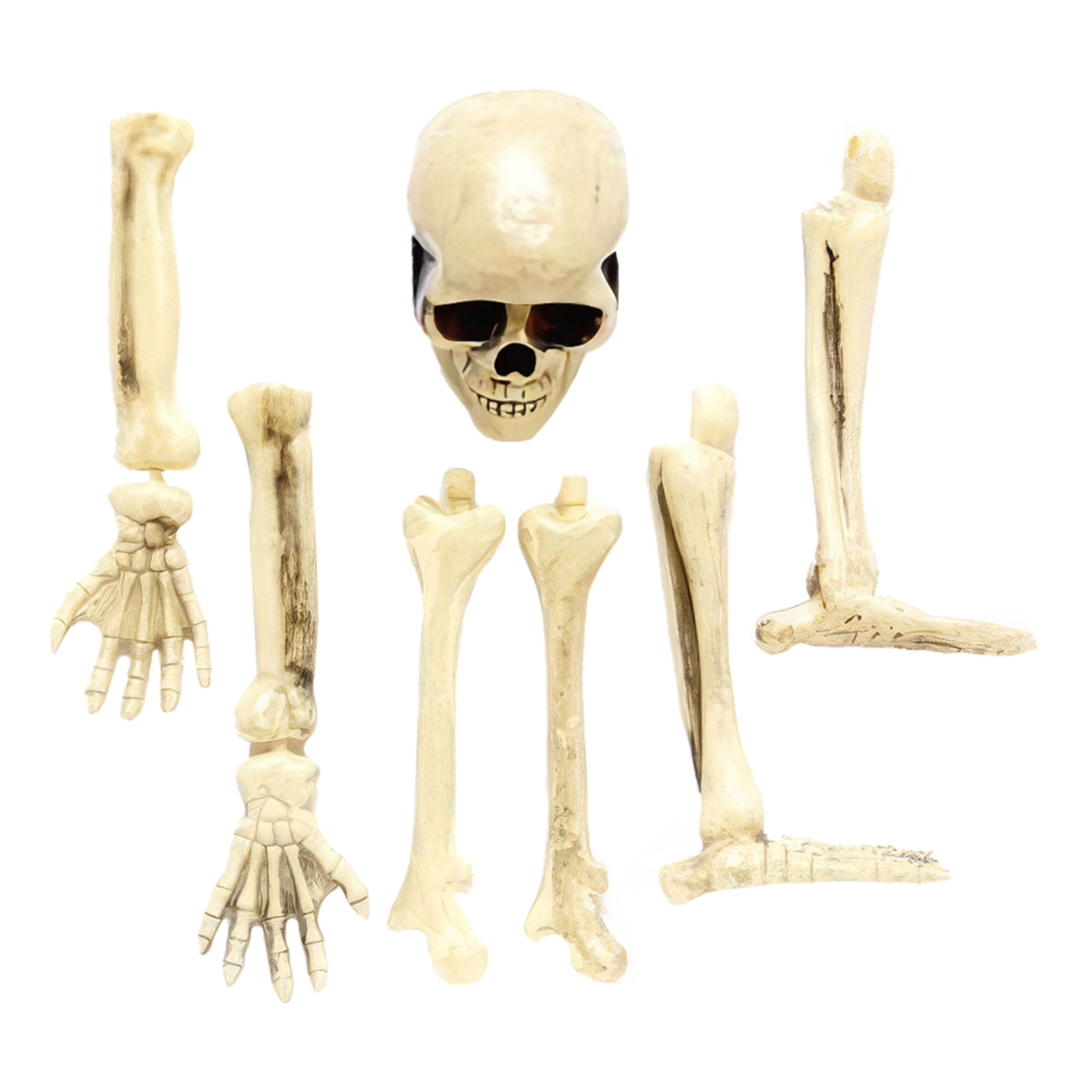 Läs mer om Skelett för Trädgård Prop