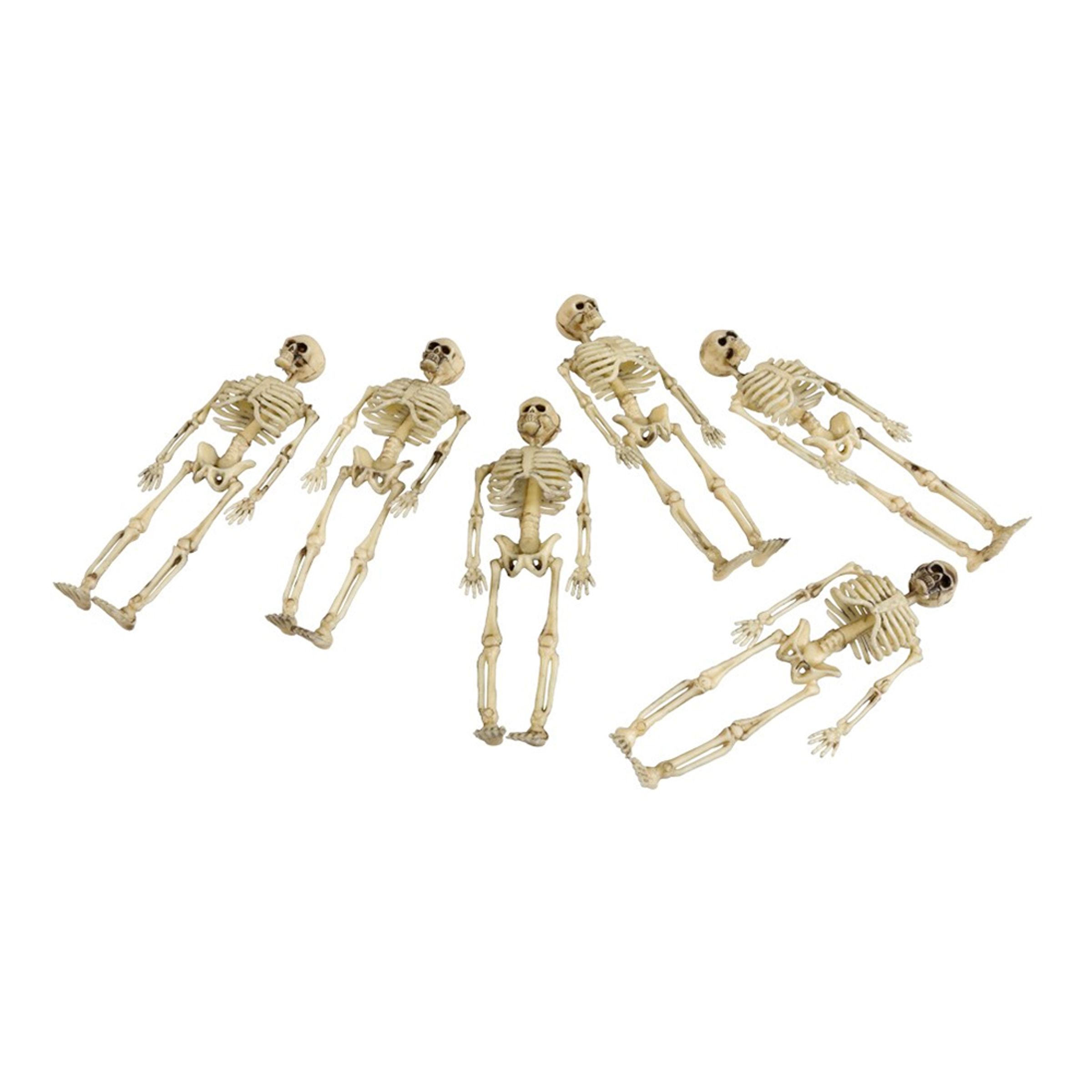Skelett i Påse - 6-pack