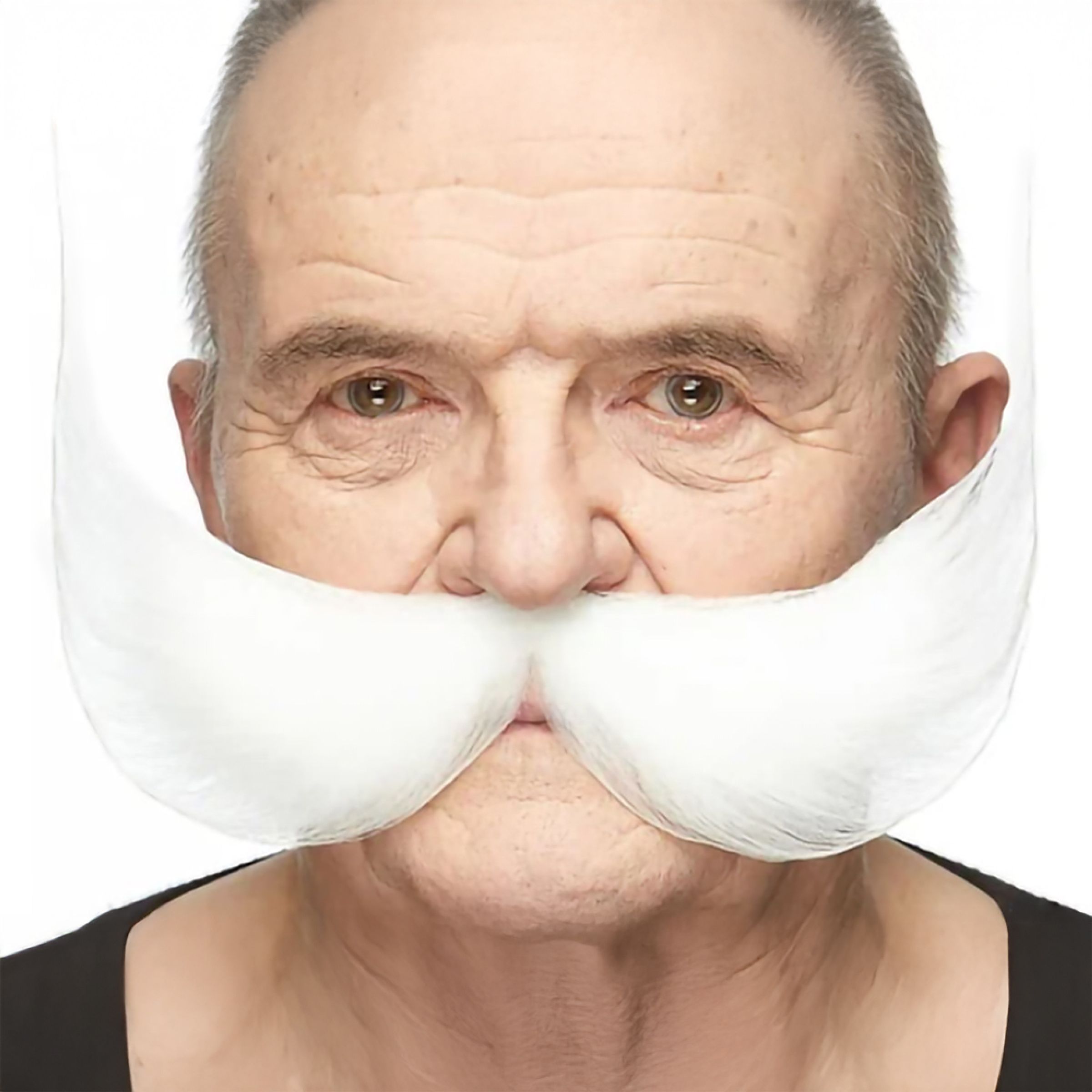 Uppfinnare Mustasch Vit | Hem - Maskerad - Tillbehör - Skägg & Mustascher | Pryloteket