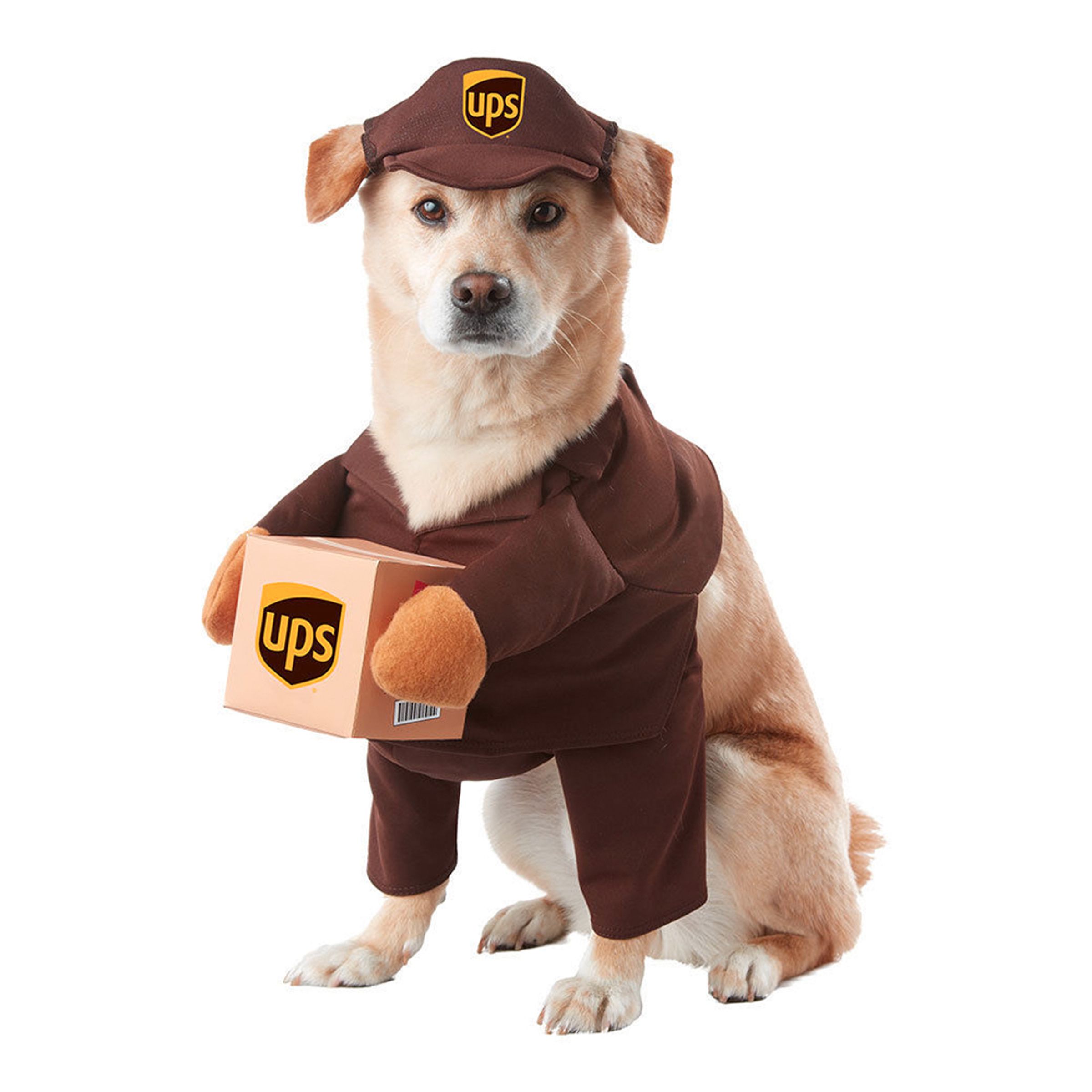 UPS Hund Maskeraddräkt - Large