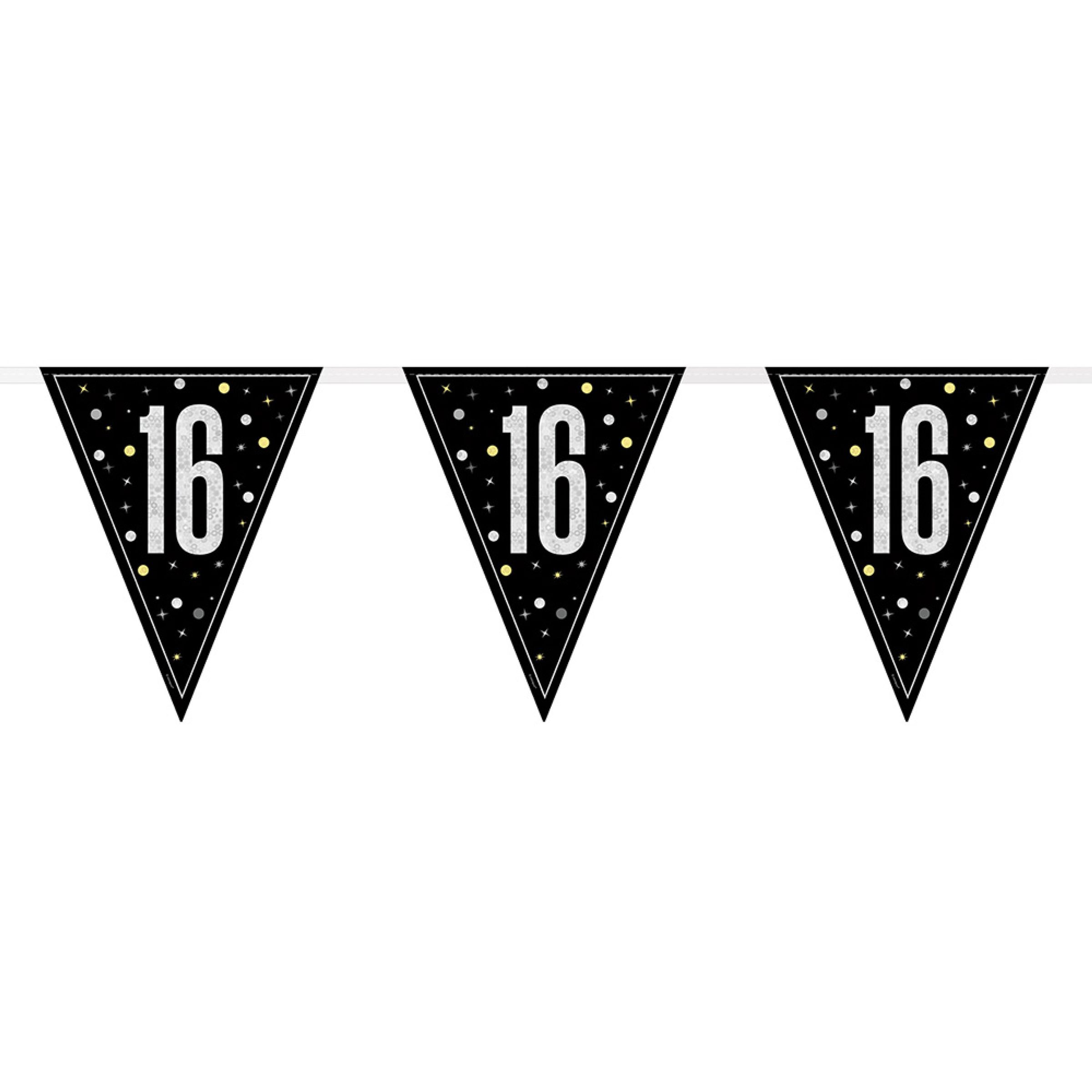 Vimpelgirlang 16 Svart/Silver | Hem - Teman - Färger - Silver | Pryloteket