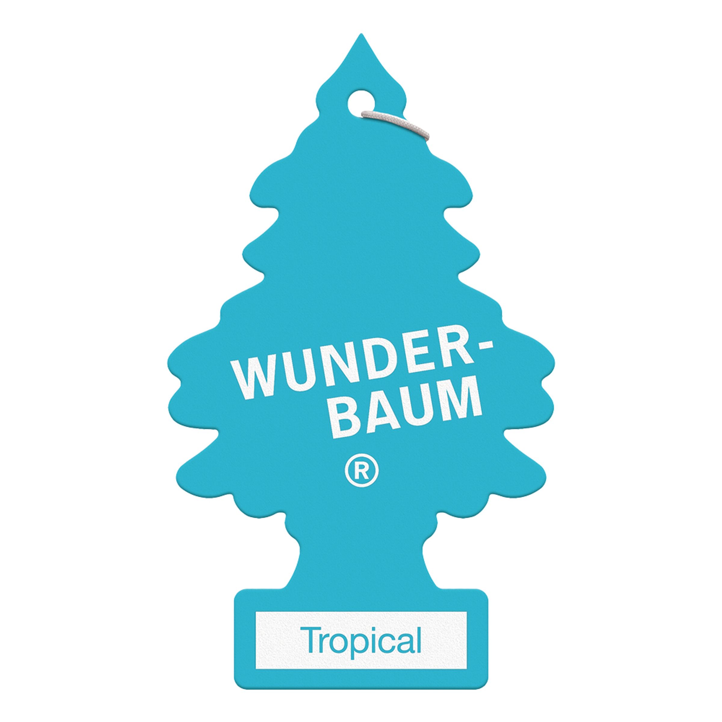 Wunderbaum Doftgran - Tropical