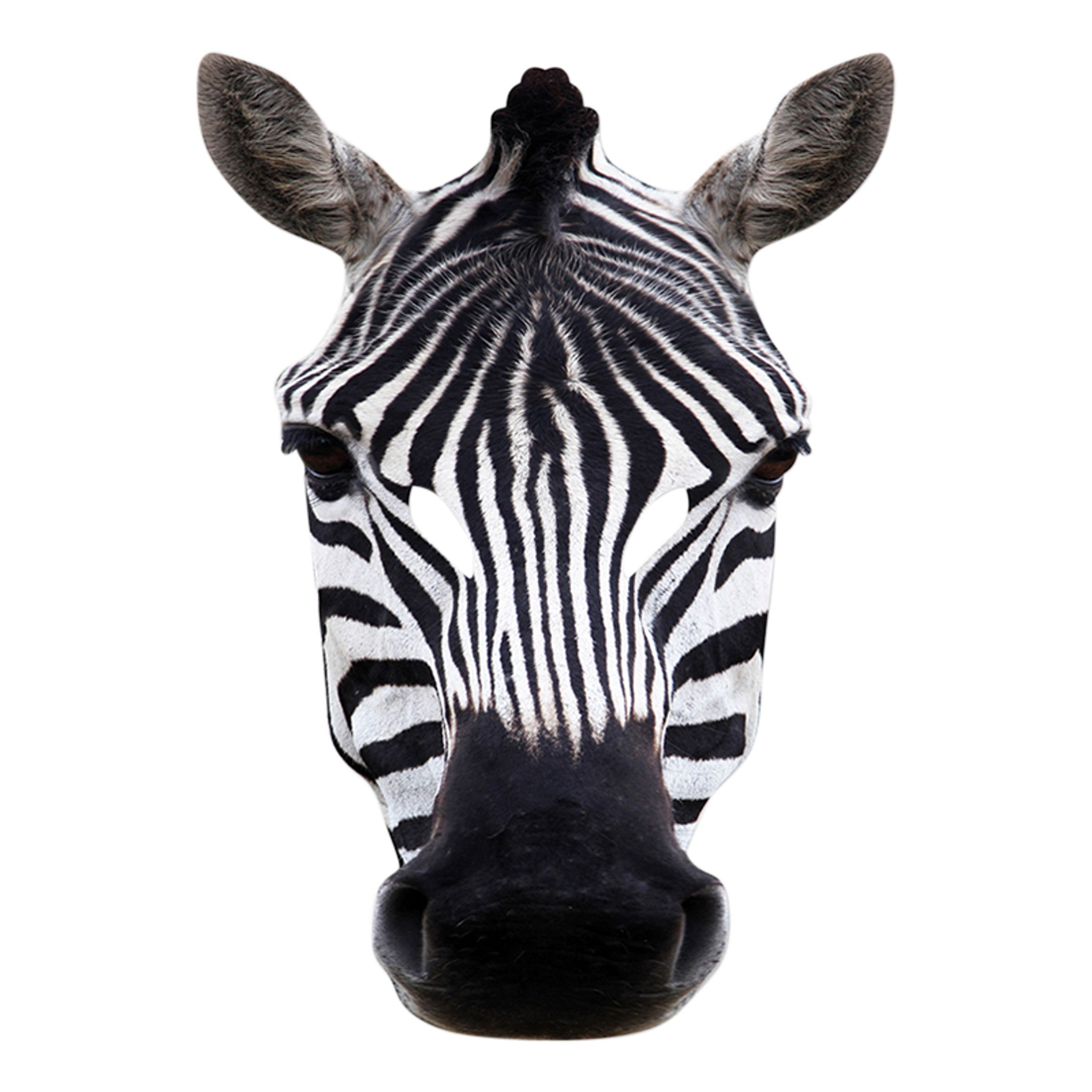 Zebra Pappmask