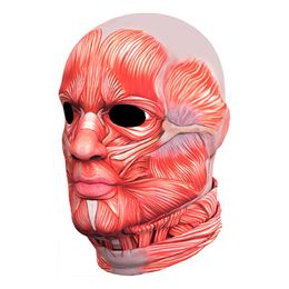 Bildspel - Anatomi Maskeraddräkt