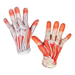 Bildspel - Anatomi Maskeraddräkt