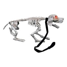 Lysbildefremvisning - Gøende Hundeskelet Prop