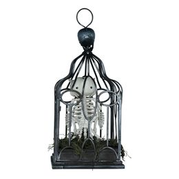 Diaesitys - Animoitu Lintuluuranko Häkissä -koriste