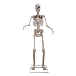 Animoitu Jättiläisluuranko Prop