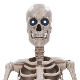 Diaesitys - Animoitu Jättiläisluuranko Prop