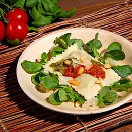 Lysbildefremvisning - Tallerkener af Palmeblade