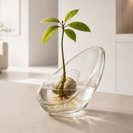Bildspel - Avokadovas i Glas