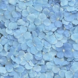 Bildspel - Backdrop Hortensia Blå