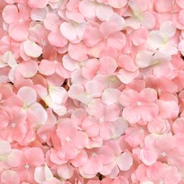 Bildspel - Backdrop Hortensia Rosa