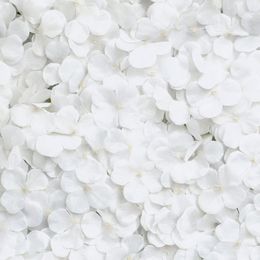 Bildspel - Backdrop Hortensia Vit