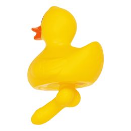 Lysbildefremvisning - Badeand med penis