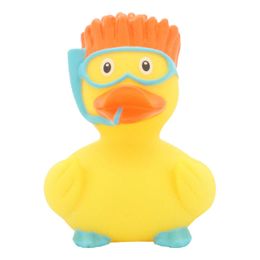 Lysbildefremvisning - Badeand Snorkler