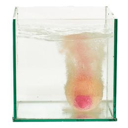 Bildspel - Badbomb Tutte