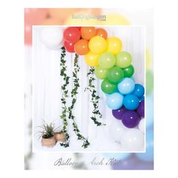 Bildspel - Ballongbåge Regnbåge