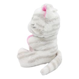 Bildspel - Ballongvikt Katt med Ögla