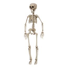 Barneskjelett Prop