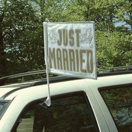 Diaesitys - Just Married Autolippu