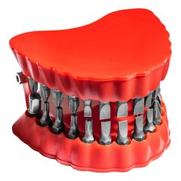 Lysbildefremvisning - Bitsholder Protese