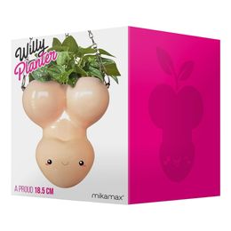 Bildspel - Blomkruka Penis