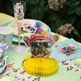 Bildspel - Bordsdekoration Party Hund