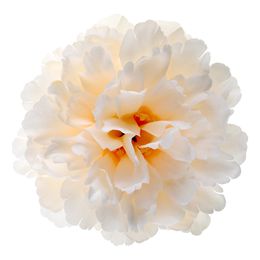 Bordsdekoration Pion Elfenben