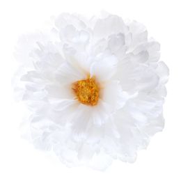 Bordsdekoration Pion Vit