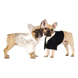 Diaesitys - Sulhanen Naamiaisasu Koiralle