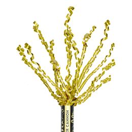 Bildspel - Celebration Partykit