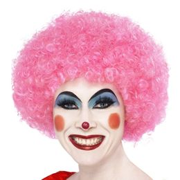 Bildspel - Clownperuk Rosa