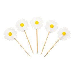 Juhlatikut Päivänkakkara