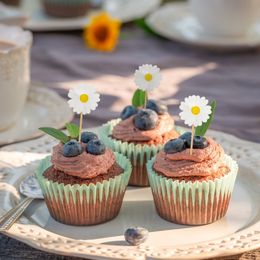 Diaesitys - Juhlatikut Päivänkakkara