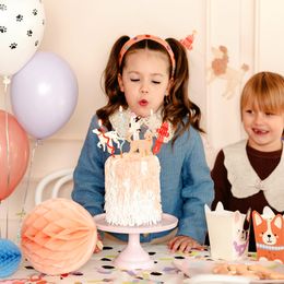 Bildspel - Partypicks Hundar