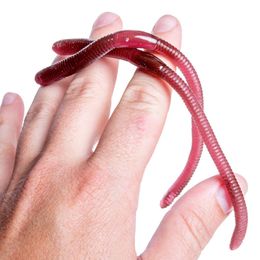 Lysbildefremvisning - Meitemarker