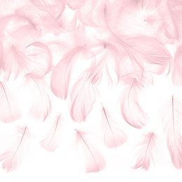 Dekorationsfjer Lyserød