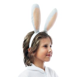Bildspel - Diadem Raving Rabbids™