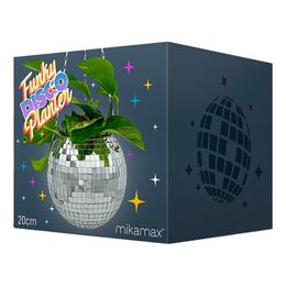 Bildspel - Discokula Blomkruka