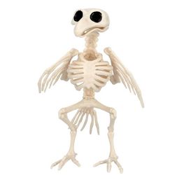 Djurskelett Fågel Prop