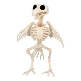 Bildspel - Djurskelett Fågel Prop