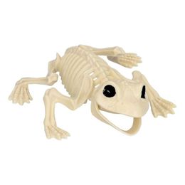Bildspel - Djurskelett Groda Prop