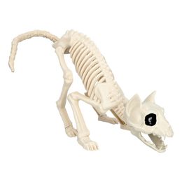 Djurskelett Katt Prop