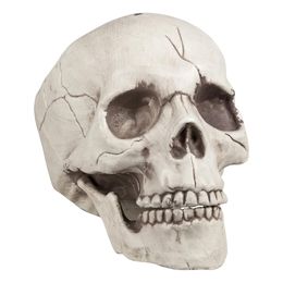 Dödskalle med Rörlig Käke