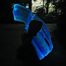 Lysbildefremvisning - Fiberoptisk LED Hættetrøje