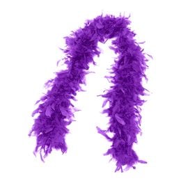 Lysbildefremvisning - Fjerboa